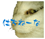 858783206