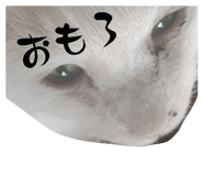 858783207