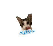 858783263