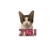 858783264
