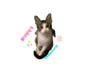 858783266