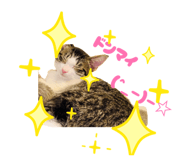 858783270