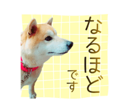 858783290