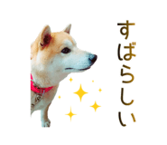 858783291