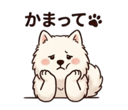 858784030
