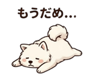 858784034