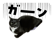858785337