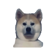 858786777