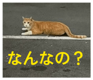 858791061