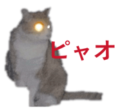 858791062