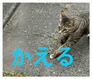 858791063