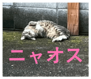 858791065