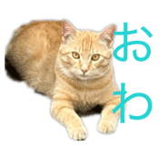 858791066