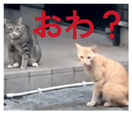 858791068
