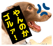 858791474