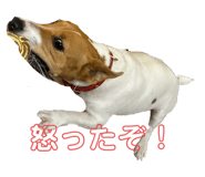 858791726