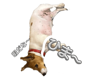 858791747