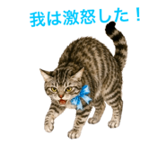 858791890