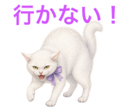 858791896