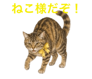 858791903