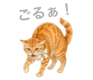 858791909