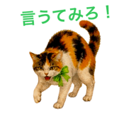 858791910
