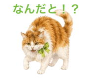 858791911