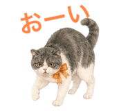 858791914