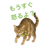 858791915