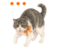 858791920