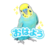 858792169