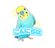 858792170