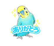 858792171