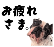 858793301