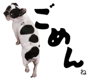 858793323