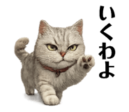 858793628