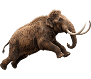 858794516
