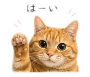 858794873