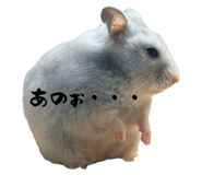 858795458