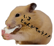 858795459
