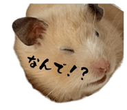 858795471