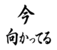 858795732