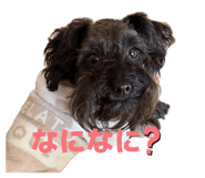 858796058