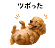 858796771
