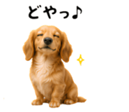 858796781