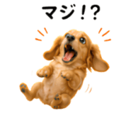 858796785