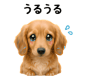 858796796