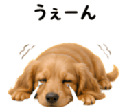 858796798