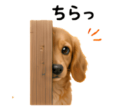 858796807
