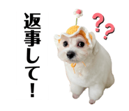 858796889
